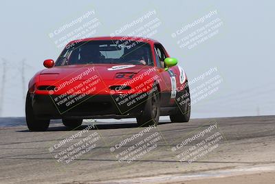 media/Sep-14-2024-Speed Ventures (Sat) [[a2bf28f496]]/Yellow Group/Session 2 (Grapevine)/